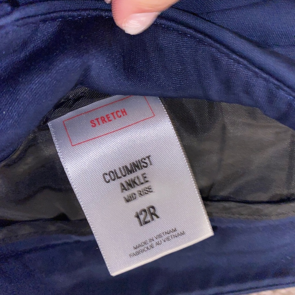 Express Columnist Dress Pants
